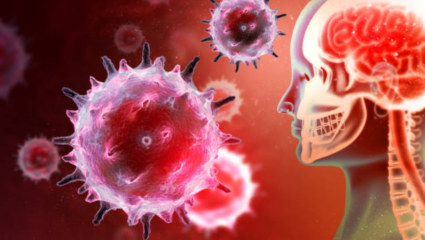 धक्कादायक! मेंदू खाणाऱ्या किड्याचे केरळमध्ये थैमान! किती प्राणघातक, स्वतःचे संरक्षण कसे करावे 5 गोष्टी माहीत हव्यातच