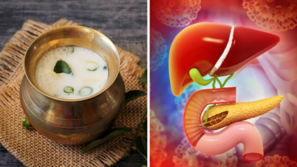 शरीरात गेल्यावर त्वरीत मेणबत्तीप्रमाणे चरबी वितळवते दह्याचे ‘हे’ पेय, तज्ज्ञांनी सांगितले सत्य