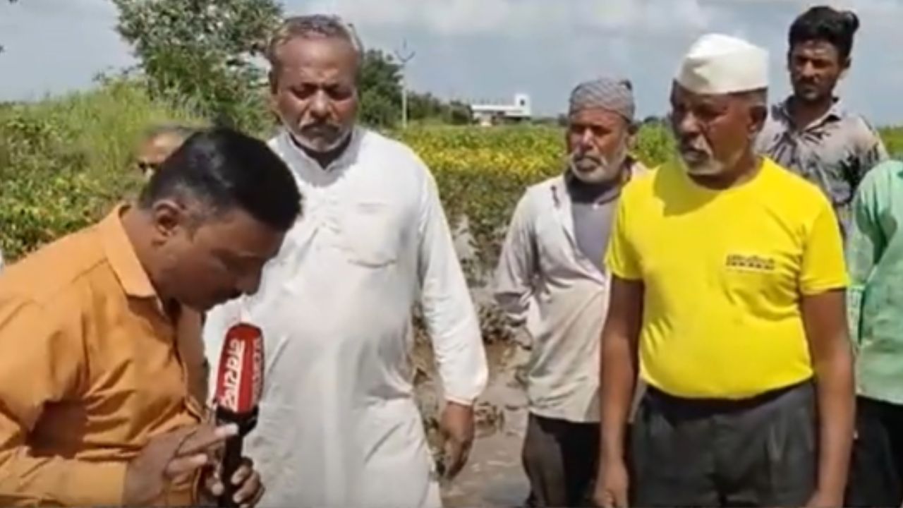 Latur Preliminary Estimates Are Alarming Crops On Three Lakh Hectares Are Under Water