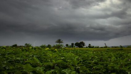 Red Alert: सोलापूर, धाराशिववर पुन्हा आस्मानी प्रकोप! पुढील २४ तास सावध राहा