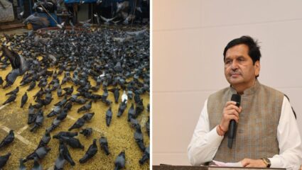 दादर नाही तर ‘या’ ठिकाणी असेल नवा कबुतरखाना, मंत्री मंगलप्रभात लोढा यांच्या हस्ते उद्घाटन