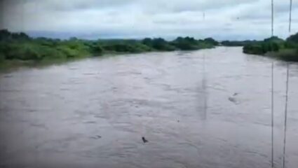 Marathwada News : शेतकऱ्यांचं भयंकर नुकसान ; ओला दुष्काळ जाहीरच नाही मराठवाडा अतिवृष्टीची अपडेट