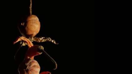 Horror Story : ‘लिंबा’वर ठेवला पाय, शरीरात शिरली ‘ती’; दर्ग्यातही जायला होईना तयार, अखेर ‘तिला’ काढण्यासाठी…