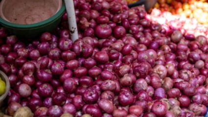 Onion Rate : जुन्नर तालुक्यातील कांदा उत्पादक शेतकऱ्यांवर मोठं संकट; निच्चांकी दरामुळे शेतकरी हवालदिल