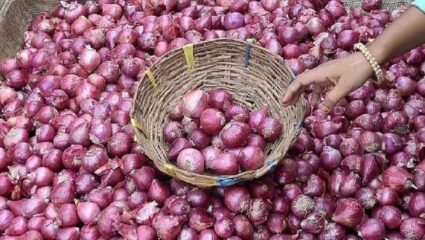 कांद्याने पुन्हा केला वांदा! शेतकऱ्यांची चिंता वाढली; सध्या किती आहे दर?