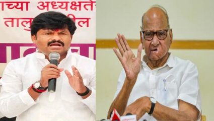 मुख्यमंत्र्यांनी उत्तर दिलं, पण…; पडळकरांच्या जयंत पाटलांवरील टीकेवर शरद पवारांची प्रतिक्रीया