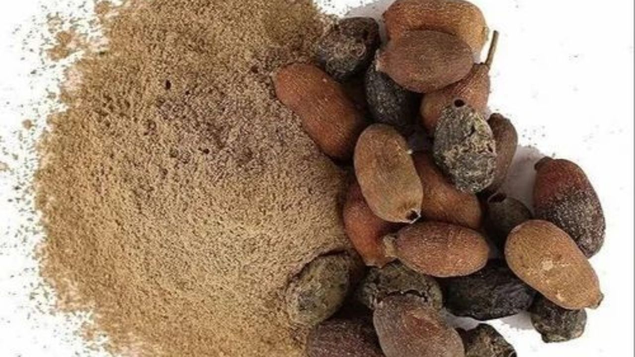रामदेव बाबांच्या मते, ही जांभळाची पावडर स्वादुपिंड मजबूद करण्यास मदत करते आणि यामुळे रक्तातील साखर देखील कमी होण्यास सुरुवात होते. याचे नियमित सेवन शरीरीत इन्सुलिन तयार करण्यास मदत करते. 
