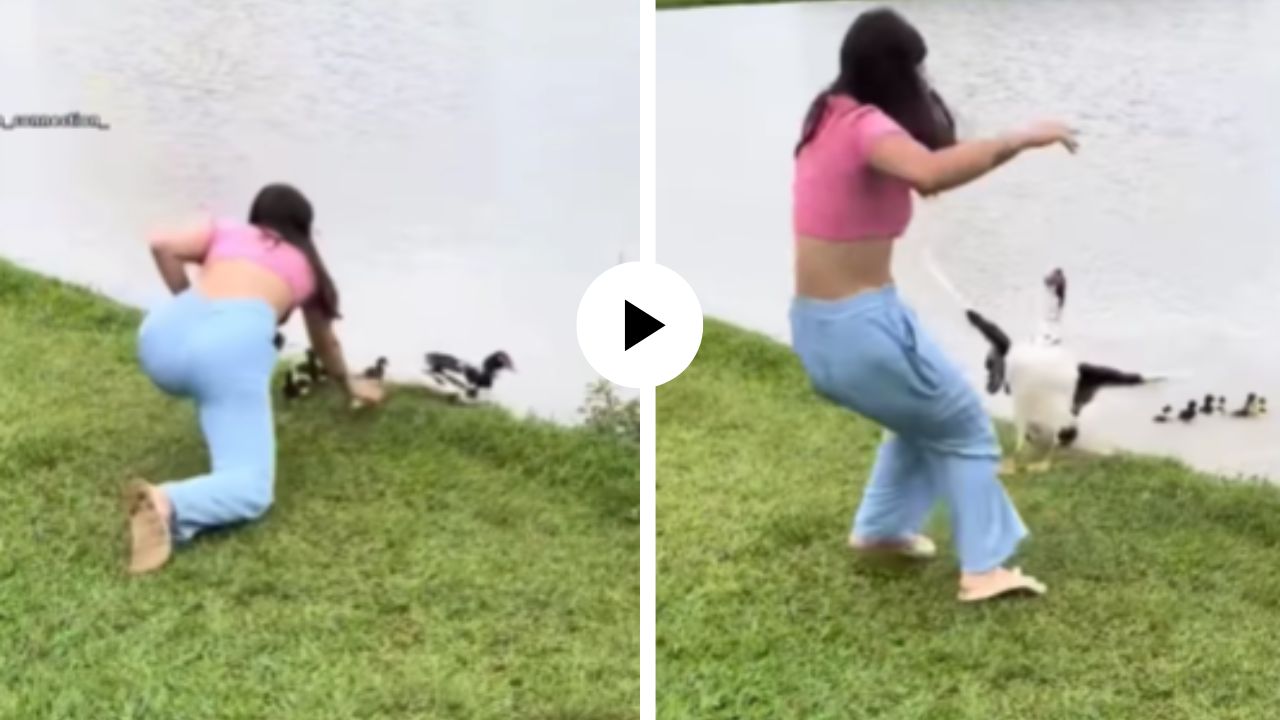 बदकाच्या पिल्लाला गूपचूप पळवू पाहत होती मुलगी तितक्यात आईने जे केलं... पापाच्या परीला दिवसा रात्रीचे तारे दाखवले; Video Viral