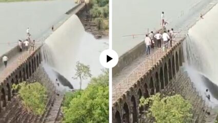 नको ते केलं अन् आयुष्याला नडलं! धरणावर स्टंट करताना व्यक्ती पाण्याच्या प्रवाहासह खाली कोसळला; थरारक दृश्ये अन् Video Viral