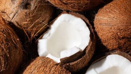 पाण्याच्या मदतीने सहज फुटेल नारळ, जोर लावायचीही गरज नाही; फक्त ही ट्रिक फॉलो करा