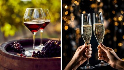 वाईन आणि शॅम्पेनमध्ये काय फरक आहे? 99 टक्के लोकांना माहिती नाही उत्तर…