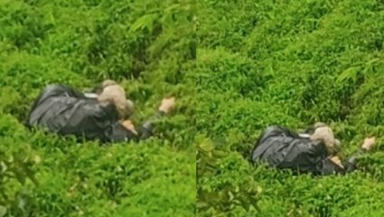 Matheran News : ट्रेकला जाताय तर सावधान! मोबाईलची रेंज गेली अन्..; 8 दिवसांनी आढळला मृतदेह