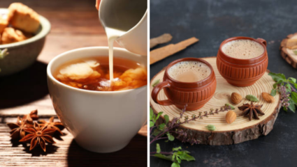 206 हाडांमधून कॅल्शियम खेचून घेतोय चहा, 4 नुकसान आयुष्य करेल उद्ध्वस्त; 3 गोष्टींची घ्या काळजी