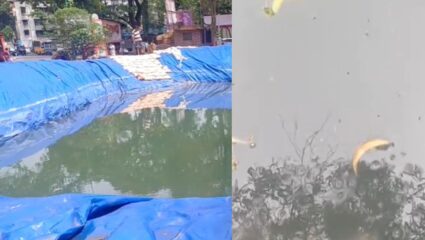 Thane News : कृत्रिम तलाव ठरतायत आजाराचं निमित्त; साचलेल्या दूषित पाण्यामुळे नागरिकांचं आरोग्य धोक्यात