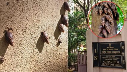 African snail In Pune : आफ्रिकन गोगलगायींचा पुण्यात प्रादुर्भाव; शहरी परिसंस्थेसाठी ठरतीये धोक्याची घंटा!