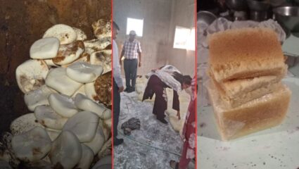 FSSAI Action in India: तुम्ही खाणाऱ्या मिठाईचा घास गोड की विषारी? बनावट पनीर, खवा अन् दुग्धजन्य पदार्थांवर छापा