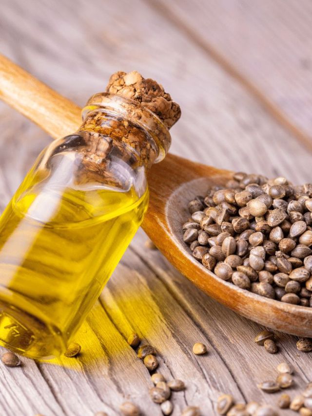 हेम्प ऑइल वापरण्याचे फायदे