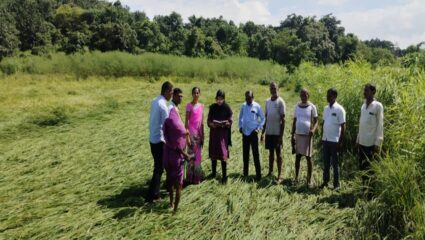 २०८ गावांमधील भात पीक नुकसानीचे पंचनामे सुरु, ग्रामपंचायत विभागाचे अधिकारी कर्मचारी शेतीच्या बांधावर