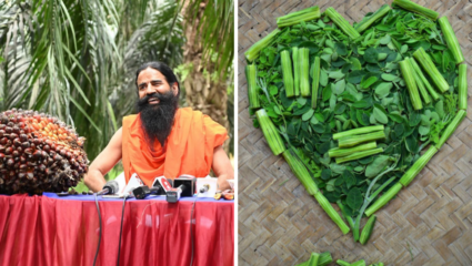 थकवा-कमकुवतपणाने शरीराचा झालाय सांगाडा? ‘ही’ हिरवी पानं भरेल ताकद, Ramdev Baba नी सांगितला Vitamin B12 चा देशी जुगाड