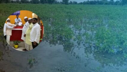 Monsoon News: अवकाळी पावसामुळे भातपिकांचे नुकसान; शेतकऱ्यांना तातडीने नुकसान भरपाई द्या, राष्ट्रवादी काँग्रेसची मागणी