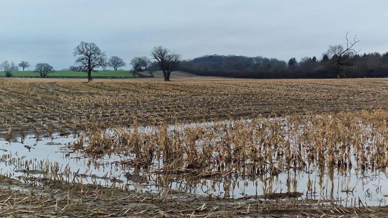 जळगावातील नुकसानग्रस्तांना सरसकट मदत मिळावी; आजी, माजी आमदारांची मुख्यमंत्री व मंत्र्यांकडे मागणी