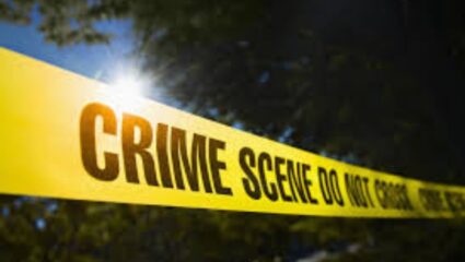 Pune Crime: पुण्यातील कोथरूडमध्ये गुंडांचा हैदोस, दोन दिवसांपूर्वी गोळीबार तर हातात पिस्तुल घेवून राडा !