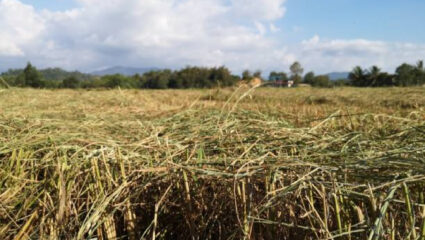 Maharashtra Government: “आपत्तीग्रस्त तालुक्यांसाठी मदत पॅकेज आणि…”; मदत व पुनर्वसन मंत्री काय म्हणाले?