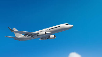 भीषण! दिल्लीला जाणाऱ्या विमानाला धडकला पक्षी अन्…; ‘या’ फ्लाइटसोबत घडलं काय?