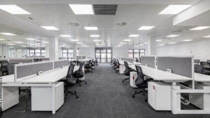 दिवाळीच्या सुट्टीत चाकरमान्यांनी साधला पर्यटनाचा योग; अनेक सरकारी कार्यालयांमध्ये शुकशुकाट