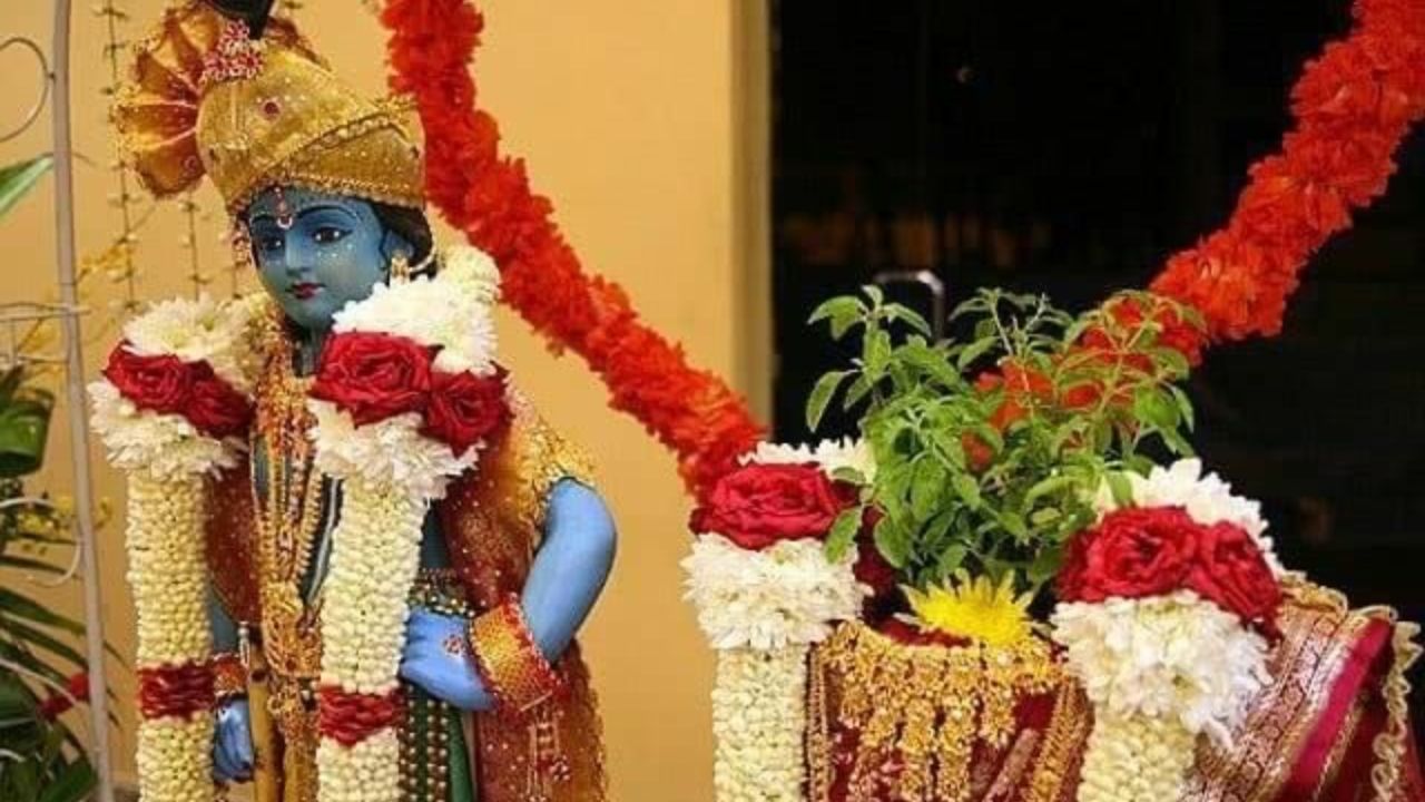 Tulsi Vivah: तुळशी विवाहाच्या दिवशी लग्नातील अडथळे दूर करण्यासाठी करा ‘हे’ उपाय फोटो सौजन्य- pinterest