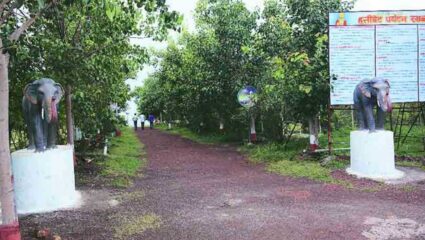 राज्यातील पर्यटकांना हत्तीबेटाचा भरळ; One Day Trip साठी जाणून घ्या कुठे आहे अन् कसे जाल?