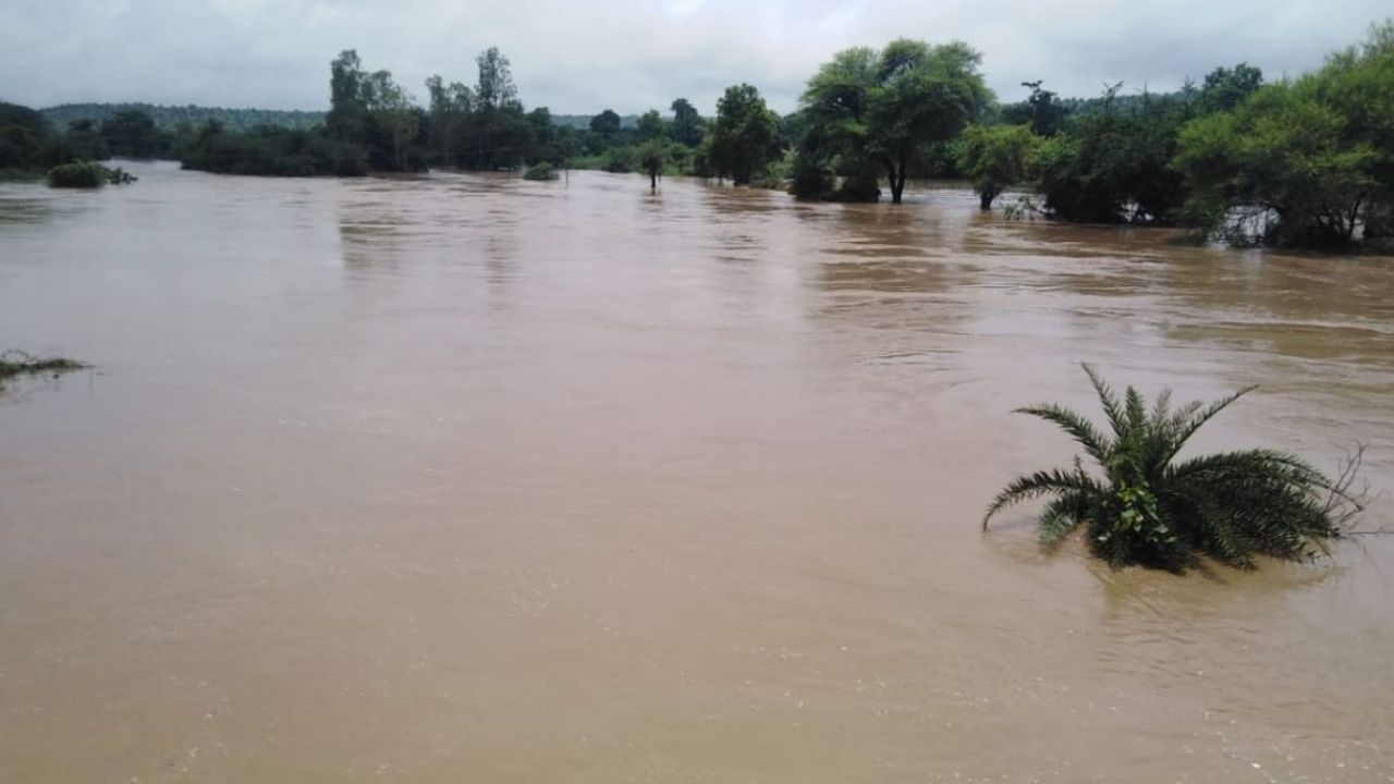 Highway Road Condition: राष्ट्रीय महामार्ग 65 च्या खाली साचले पाण्याचे तळे; प्रवास धोक्याचा झाल्याने वाढले अपघाताचे प्रमाण Umarga National Highway 65 Highway Road Bad Condition Latur Highway News