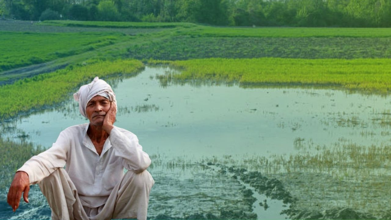 Maharashtra Rain Alert: हातातोंडाशी आलेली पिके गेली पाण्यात!अवकाळी पावसाचा कांदा, द्राक्ष, सोयाबीनला मोठा फटका, शेतकरी धास्तावला Unseasonal rains in Maharashtra cause major damage to soybean, onion and grape production monsoon update
