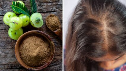 सतत होणाऱ्या केस गळतीमुळे त्रस्त आहात? मग आवळा आणि कोरफडचा ‘या’ पद्धतीने करा वापर, केसांची होईल झपाट्याने वाढ