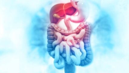 आतड्यांमधील विषारी घटक बाहेर काढून टाकण्यासाठी ‘या’ पदार्थांचे कोमट पाण्यातून करा सेवन, पोटासह संपूर्ण शरीर होईल डिटॉक्स