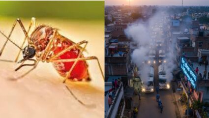 छत्रपती संभाजीनगरमध्ये डेंग्यूचा धोका कायम! ३ नोव्हेंबरपासून महापालिका राबवणार व्यापक प्रतिबंधात्मक मोहीम