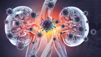 Kidney Health: आतून सडलेली किडनी स्वच्छ करण्यासाठी आहारात करा ‘या’ पदार्थांचे सेवन, संपूर्ण शरीर होईल स्वच्छ