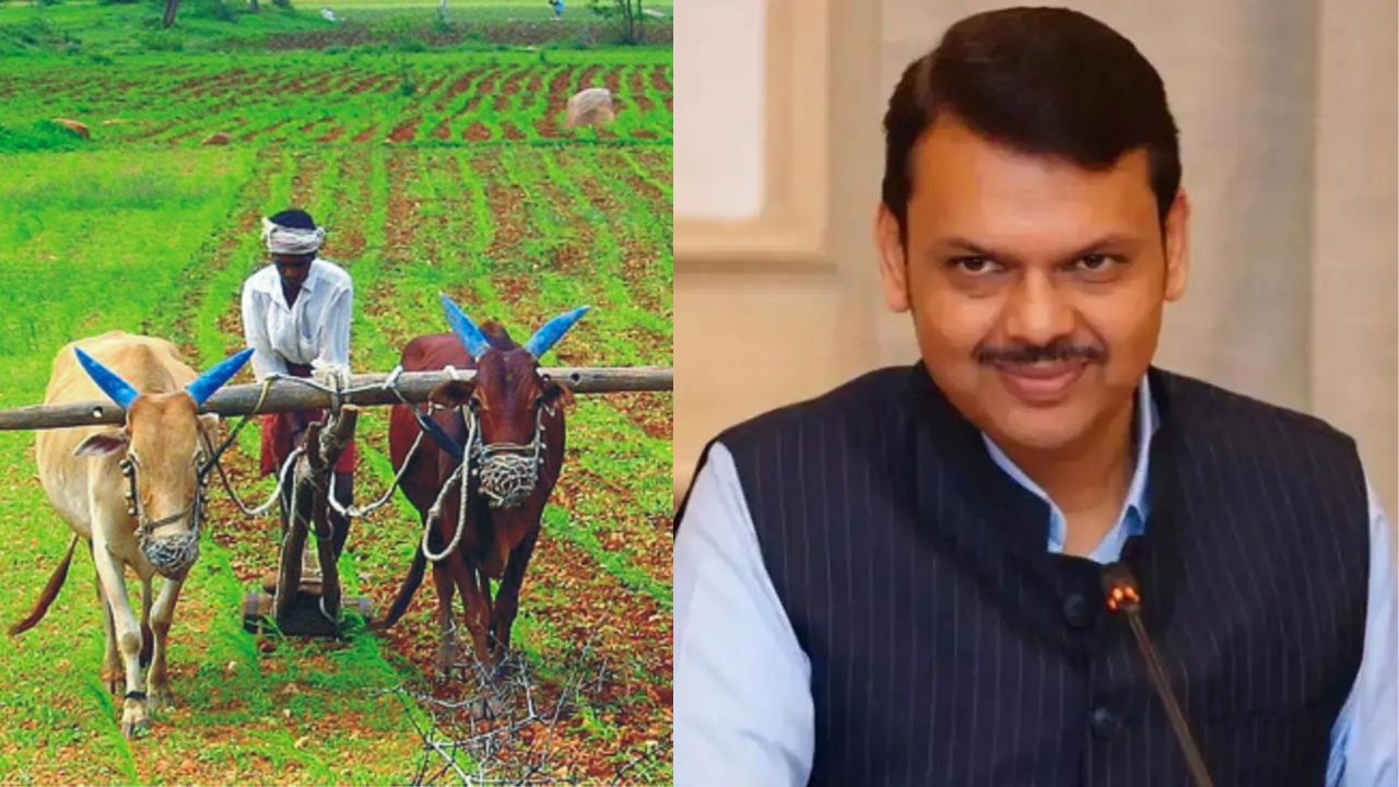 Farmers News: शेतकऱ्यांसाठी आनंदाची बातमी! मुख्यमंत्री फडणवीस यांच्याकडून कर्जमाफीची घोषणा Farmers News: शेतकऱ्यांसाठी आनंदाची बातमी! मुख्यमंत्री फडणवीस यांच्याकडून कर्जमाफीची घोषणा