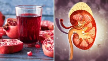 किडनीमध्ये साचून राहिलेले मुतखडे बाहेर काढून टाकण्यासाठी ‘या’ ड्रिंकचे नियमित करा सेवन, किडनी होईल मुळांपासून स्वच्छ