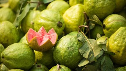 फायबरयुक्त पेरूचे हिवाळ्यात करा सेवन! सर्दी खोकल्यापासून कायमच दूर राहण्यासाठी ‘या’ वेळी करा सेवन, शरीर राहील निरोगी