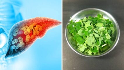 लिव्हरमध्ये साचून राहिलेली घाणेरडी चरबी स्वच्छ करण्यासाठी ‘या’ पदार्थाचा आहारात करा समावेश, कोलेस्ट्रॉल होईल नष्ट