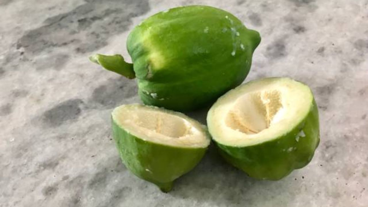 पपई खाल्यामुळे आरोग्याला अनेक फायदे होतात. पिकलेल्या पपईमध्ये खूप जास्त फायबर आणि विटामिन सी असते. तसेच कच्चा पपई खाल्यामुळे शरीराला पोषण मिळते. 
