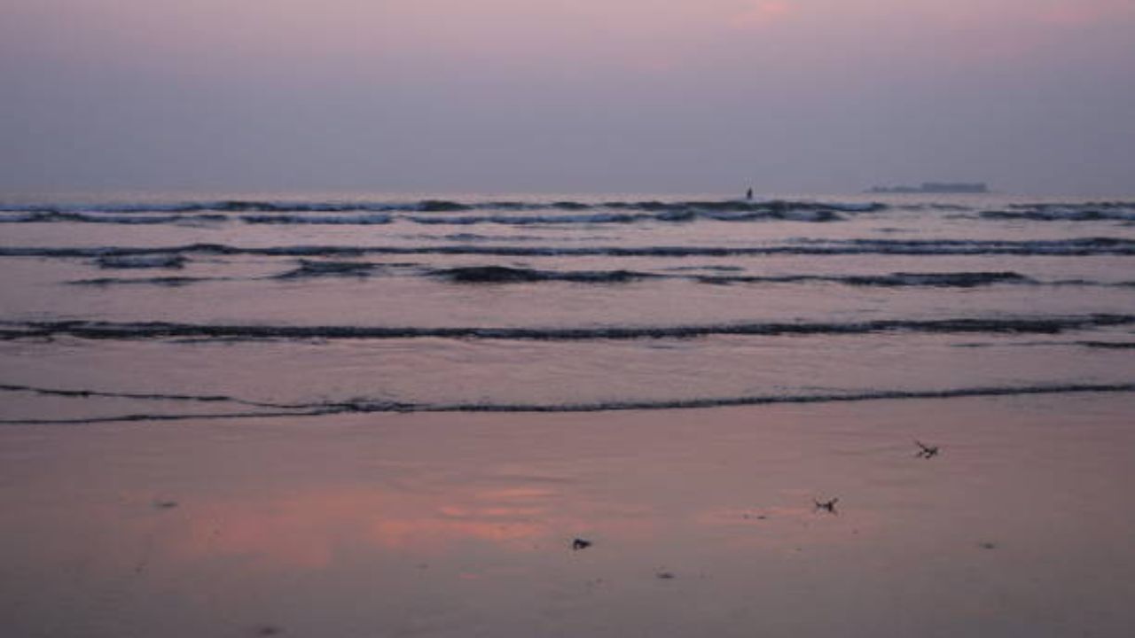 समुद्रकिनारी फिरण्याचा आनंद घ्याचा असल्यास तुम्ही अलिबागमध्ये जाऊ शकता. इथे खूप जास्त समुद्रकिनारे आहेत. दिवाळीनंतर सूर्योदयाचा आनंद घेण्यासाठी लोक समुद्रकिनारी जातात. 