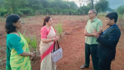 Chiplun: २५६ प्रकारची झाडे लावून कळंबस्तेत साकारत आहे ‘देवराई’; जिल्हा मुख्य कार्यकारी अधिकारी वैदेही रानडे यांनी केली पाहणी