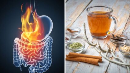 पोटतात वाढलेल्या पित्तामुळे सतत आंबट ढेकर येतात? ‘हा’ घरगुती उपाय ठरेल प्रभावी, छातीतील वेदना होतील कमी