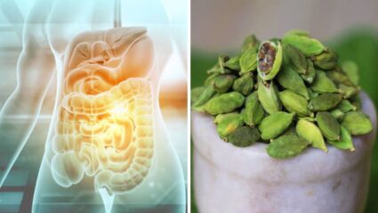 जेवणानंतर कधीच तयार होणारी आतड्यांमध्ये गॅस! ‘या’ पदार्थांचे सेवन केल्यास अन्ननलिकेत वाढलेले पित्त होईल कमी