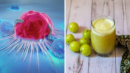 Breast Cancer सारख्या गंभीर आजारापासून शरीराचा बचाव करण्यासाठी आहारात करा ‘या’ पदार्थांचे सेवन, महिलांसाठी ठरेल गुणकारी