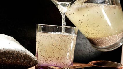 सकाळी उठल्यानंतर उपाशी पोटी नियमित करा चिया सीड्सच्या पाण्याचे सेवन, शरीराला होतील ‘हे’ आश्चर्यकारक फायदे