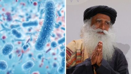 शरीरातील Bacterial Infection टाळण्यासाठी आहारात करा ‘या’ पौष्टिक पदार्थांचे सेवन, सद्गुरूंनी  सांगितलेला प्रभावी उपाय