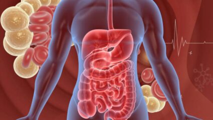 पोटात सडणारे शौच बाहेर काढून टाकण्यासाठी उपाशी पोटी करा ‘या’ बारीक दाण्यांच्या पाण्याचे सेवन, मधुमेहासह कोलेस्ट्रॉल राहील नियंत्रण